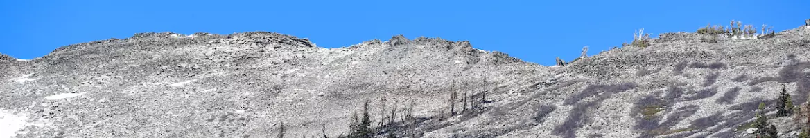 A ridge in the Sierra Nevada mountains with no snow coverage. Photo from April 2022 snow survey.