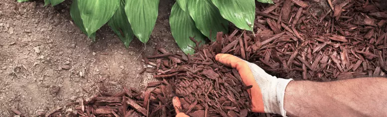 Person sweeping alt.